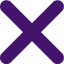 x icon